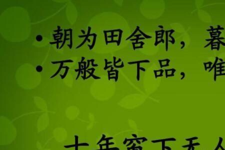 唯读书不可辜负的上一句