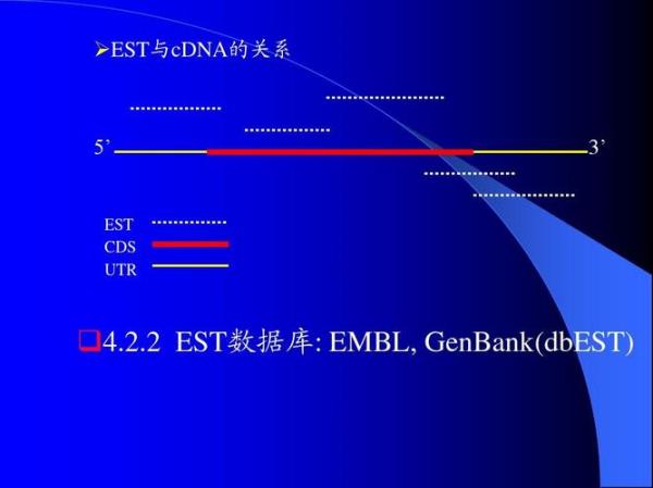 dna序列分析与预测基本步骤