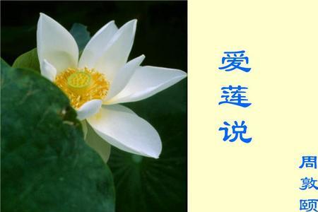 爱莲说小说作品集