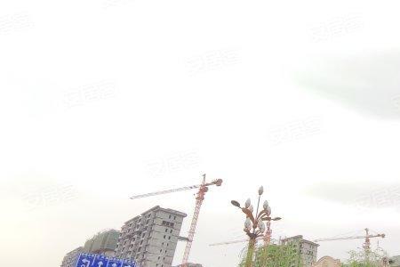 泰安江山里为什么比信园贵