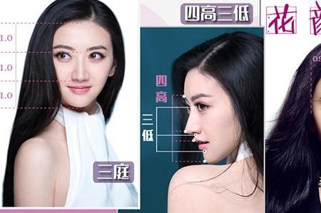 额头与脸的比例