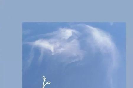 善解人意知进退是什么段子