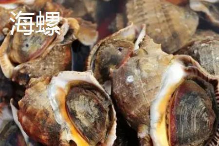 田螺跟菩萨螺有什么区别呢
