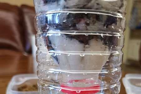 如何做简易活性炭净水器