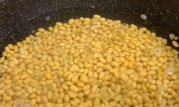 黄豆酱的上霉方法