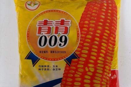 立元296玉米种子怎么样