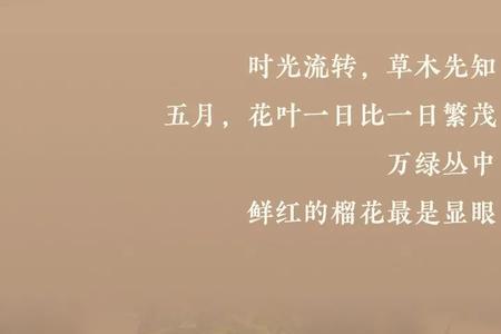 涤心是什么意思