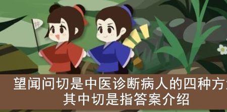 望闻问切切的读音