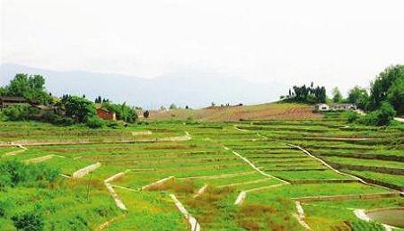 三亩地等于好多平方米