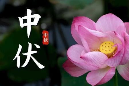 中伏的气候怎么形容
