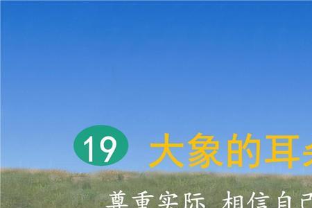 大象的右耳朵是指什么动物
