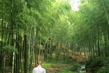 颀长清癯什么意思