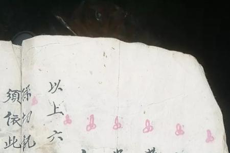 什么叫永字辈
