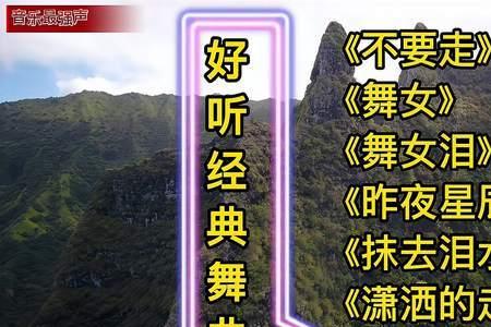 不要走歌曲啥意思呢