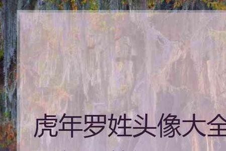 2021姓杨的有多少人