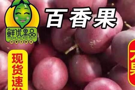 百香果耐寒耐霜水果
