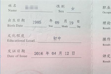 深圳保育员有编制吗