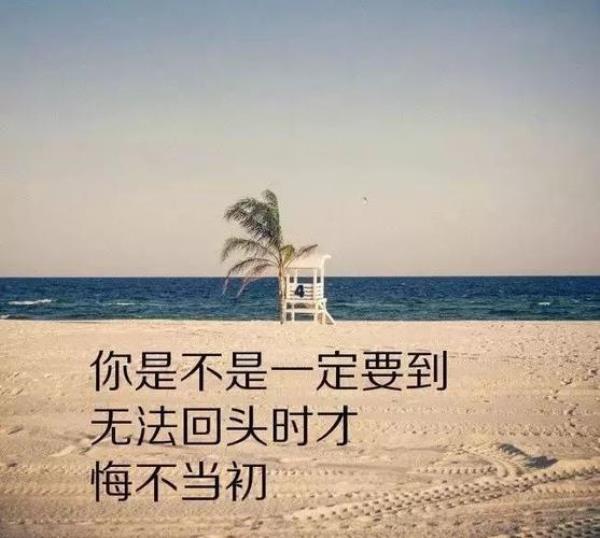 看淡世俗精辟句子