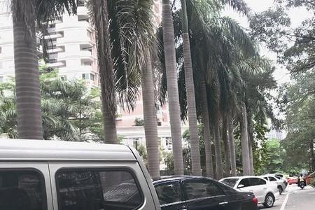 公共停车位长期被一辆车停着