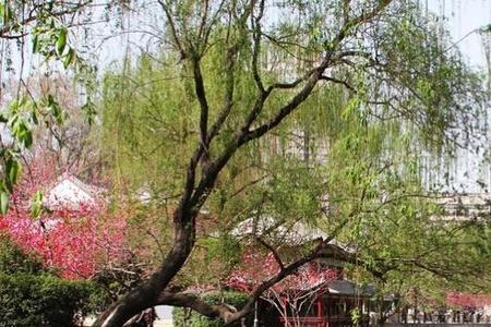 青年湖公园划船票价