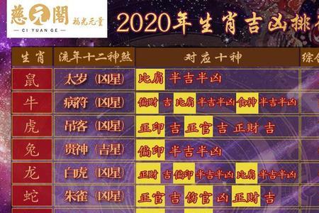 驶是什么生肖