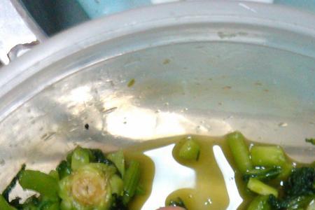 芥棒菜腌制方法图片