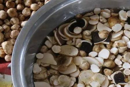 煮菌子为什么不能用筷子搅拌