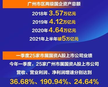 什么是国资公司