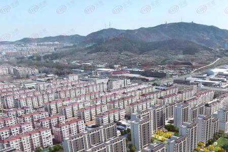 烟台力高集团现状