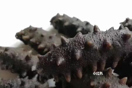 海参拉缸盐和淡干的有啥区别