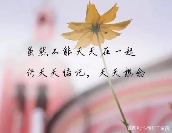 不再为任何人执着说说