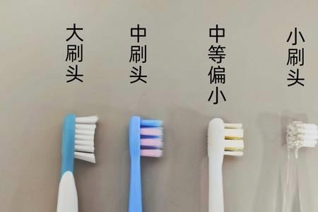 大栗袋鼠短视频带货靠谱吗