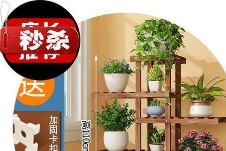 怎样可以自制多肉花架