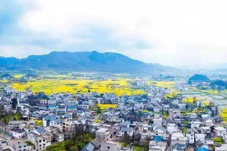 宜商什么意思