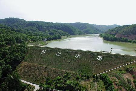 上海三大水库的水源