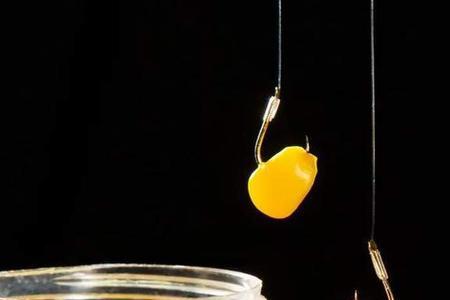 蜂蜜泡玉米钓鱼绝招
