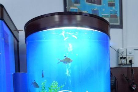 120x60的地砖粘室外鱼缸