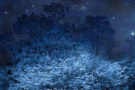 夜晚动静态句子20字