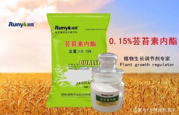芸苔素内酯为啥只能用三次
