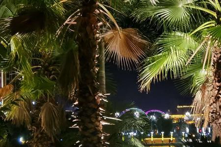 夜色寂寥什么意思