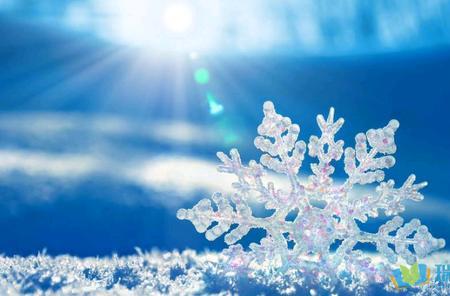 下雪损人句子