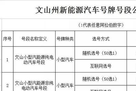新能源上牌可以有几次50选1
