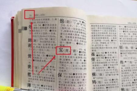 市在字典哪一页