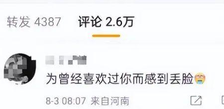 内娱代餐什么意思