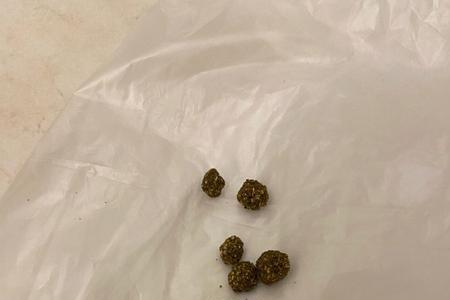 兔子的粪便有细菌吗