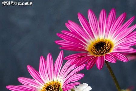 无比笃定的意思是什么