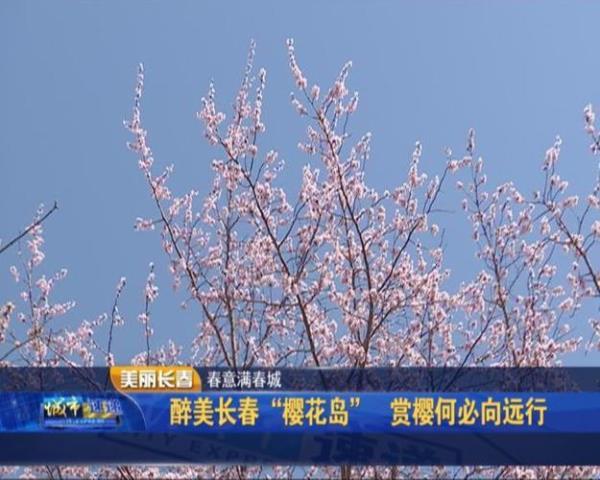 长春樱花什么时候开