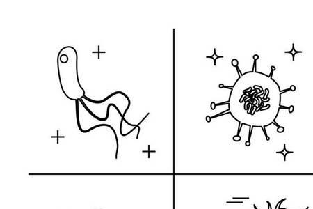 细菌图片的简笔画