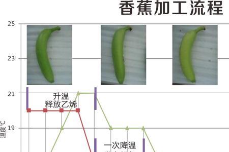 最简单的乙烯催熟妙用