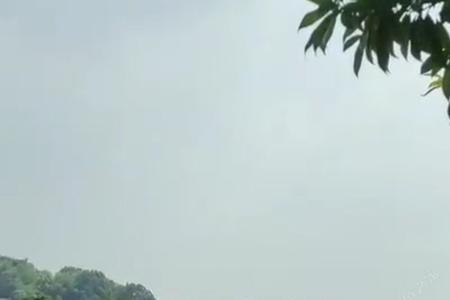 株洲文化园可以钓鱼吗